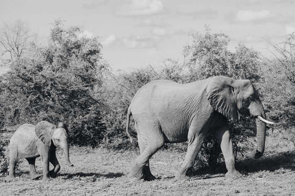 Photograph by Popiyakova Natalia