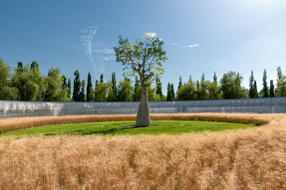 Photograph by Alex Ventura