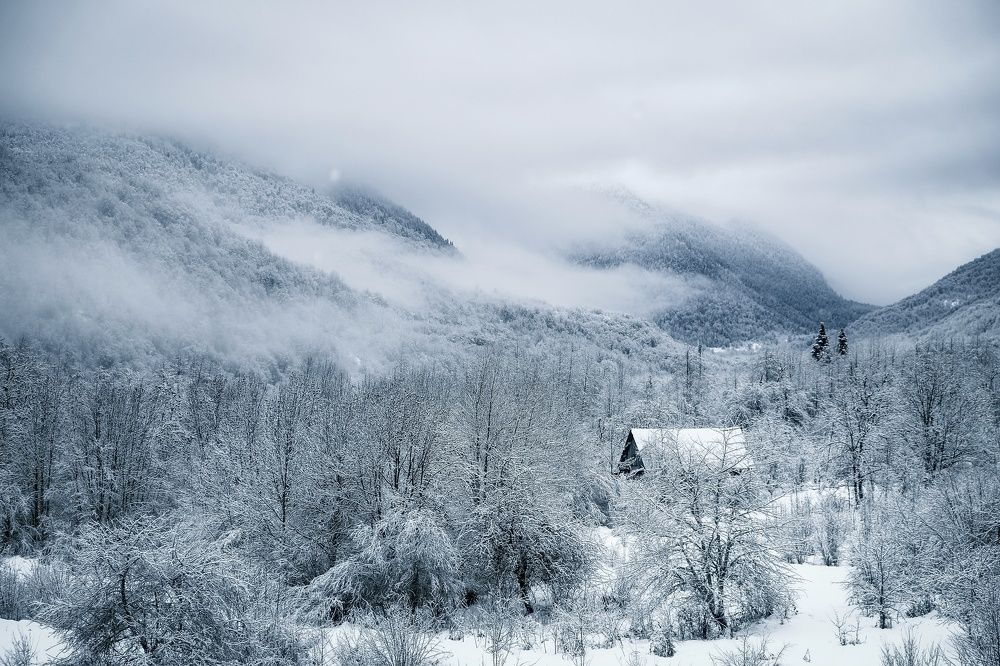 Photograph by Алеся Сафарова