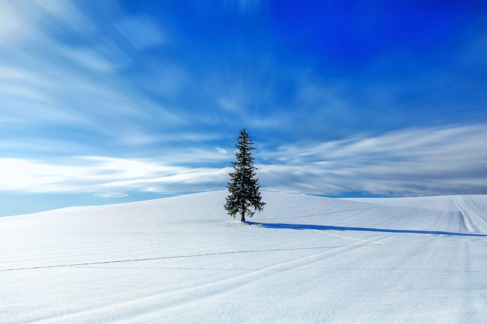 Photograph by Stewart Sun