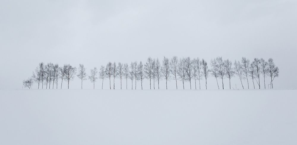 Photograph by Stewart Sun