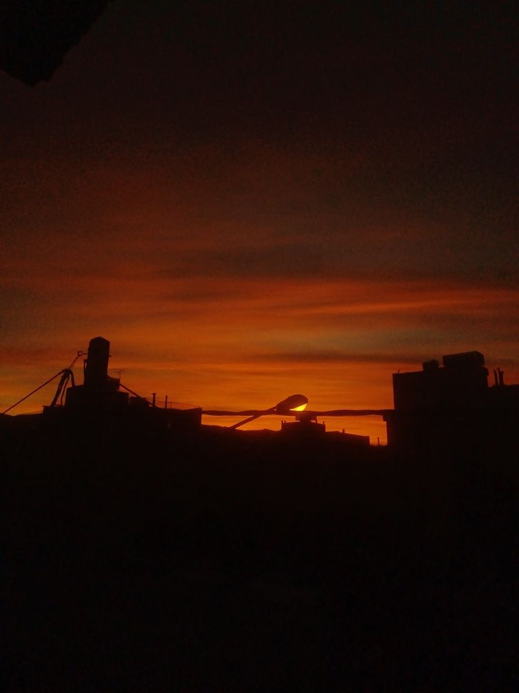 Photo #10099879