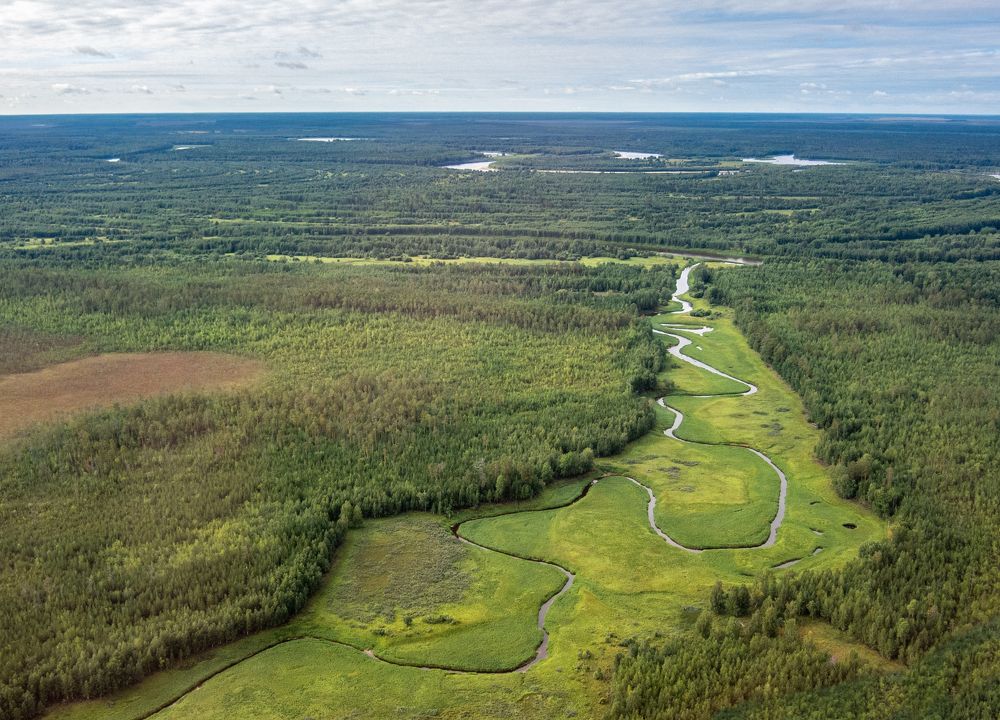 Photograph by Михаил Плецкий