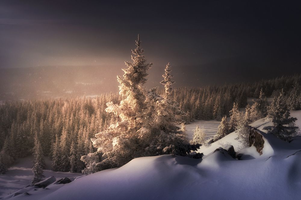 Photograph by Татьяна Бирюкова