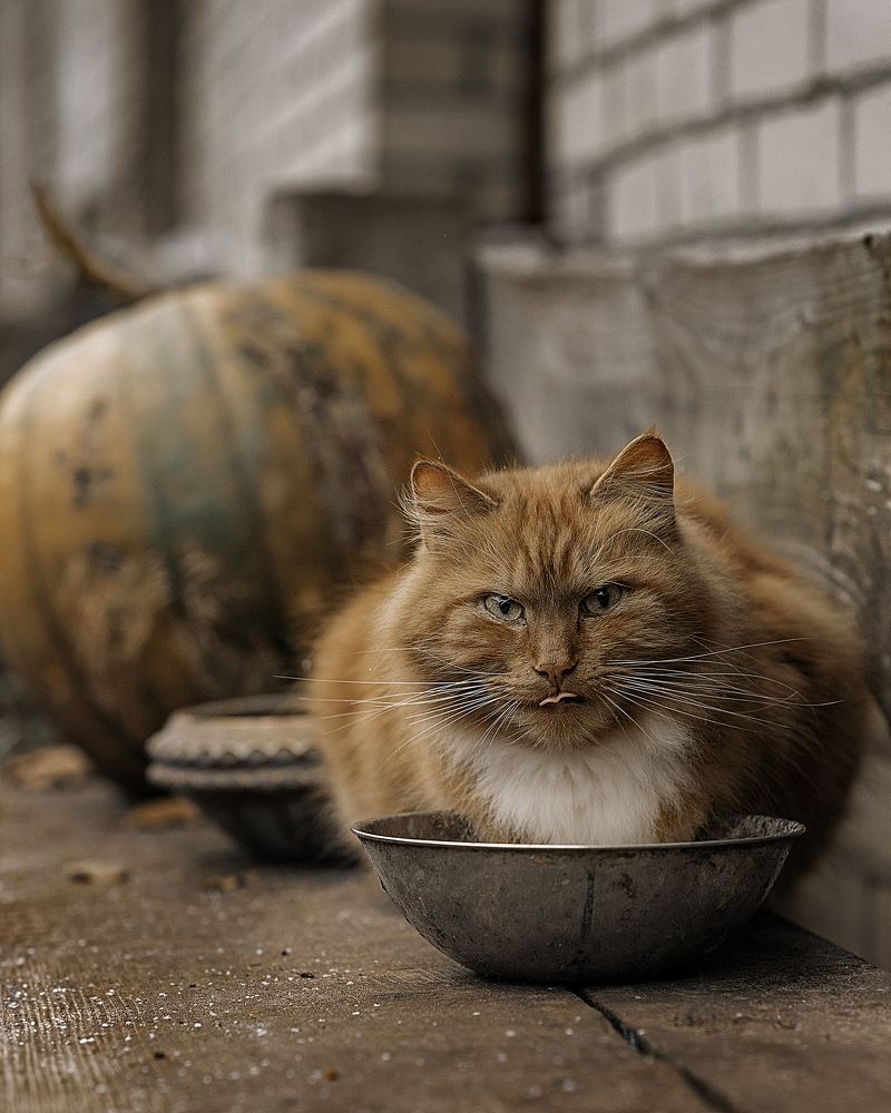 Photograph by Jurijs Rudzeiss