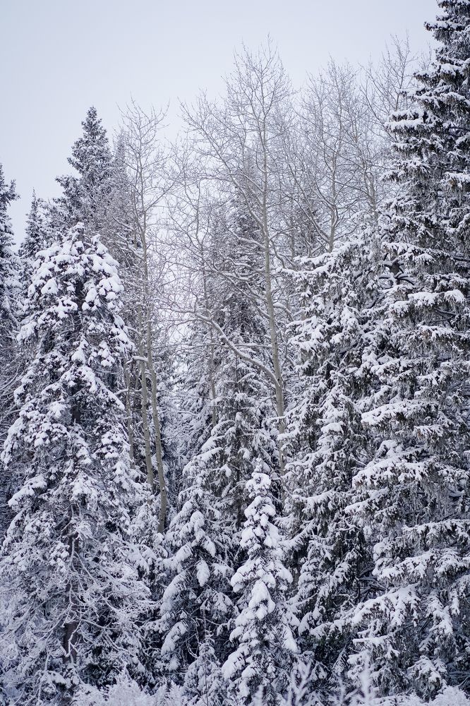 Photograph by Анна Полушина