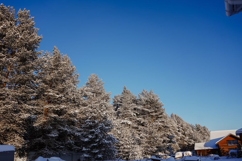 Photograph by Анна Полушина