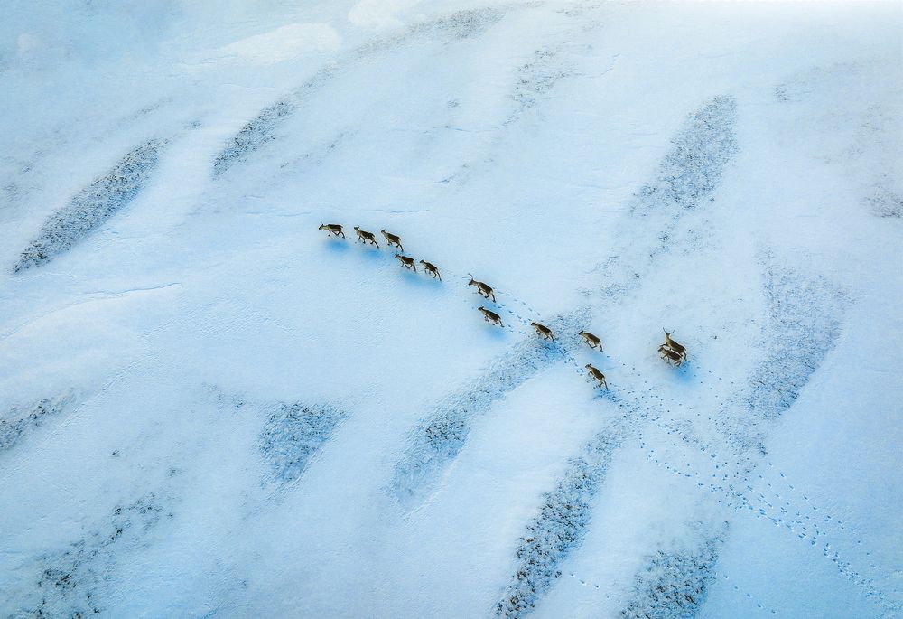 Photograph by Zaprin Geguskov