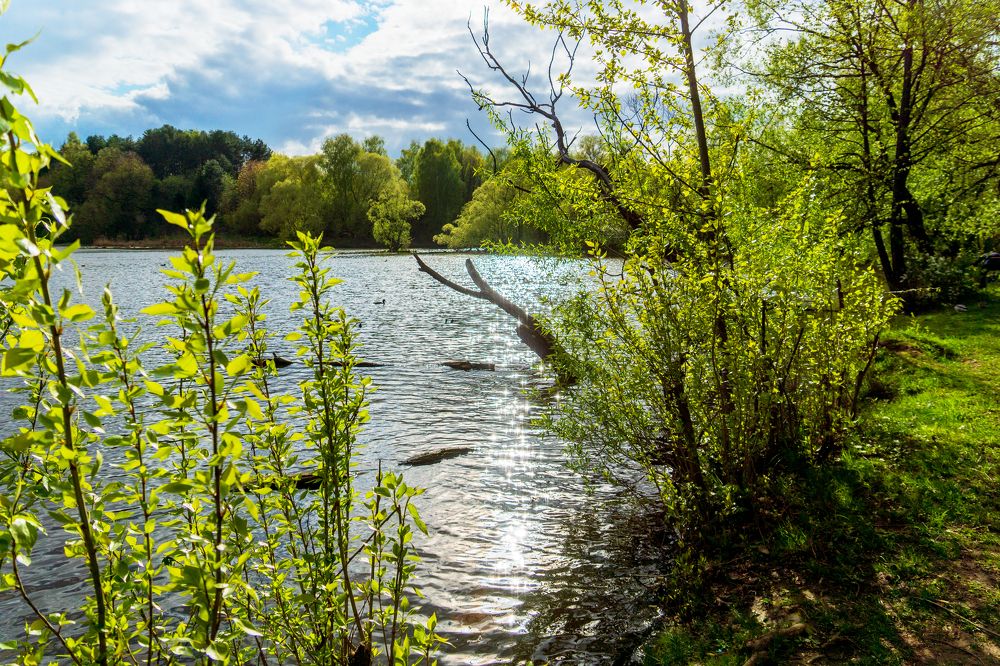 Photograph by Любовь Дворникова