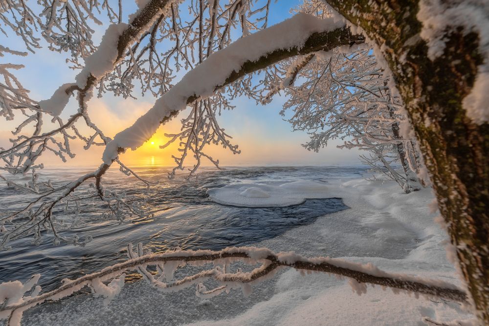 Фотография автора Александр Пашеничев
