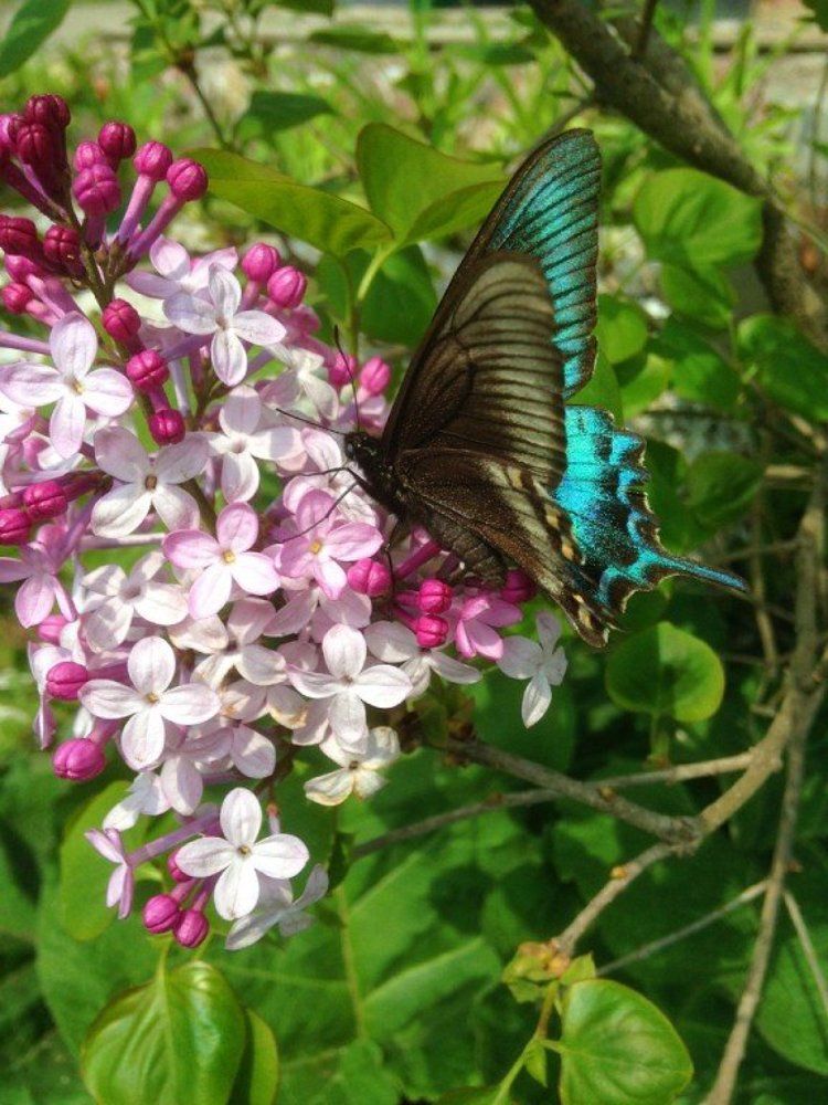 Photograph by Татьяна