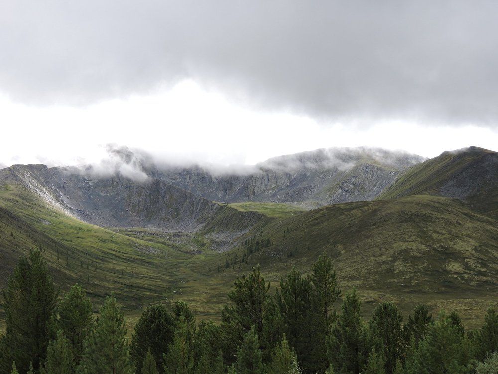 Туман после дождей