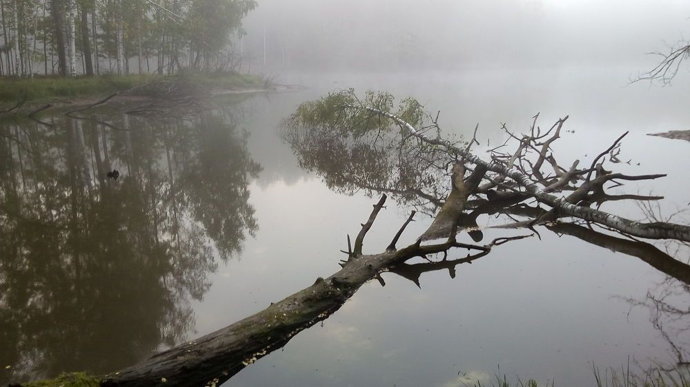 Photograph by Ридиман Денис