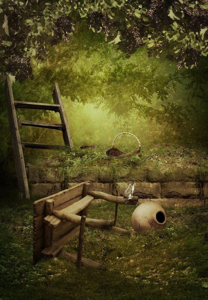 Заброшенный сад