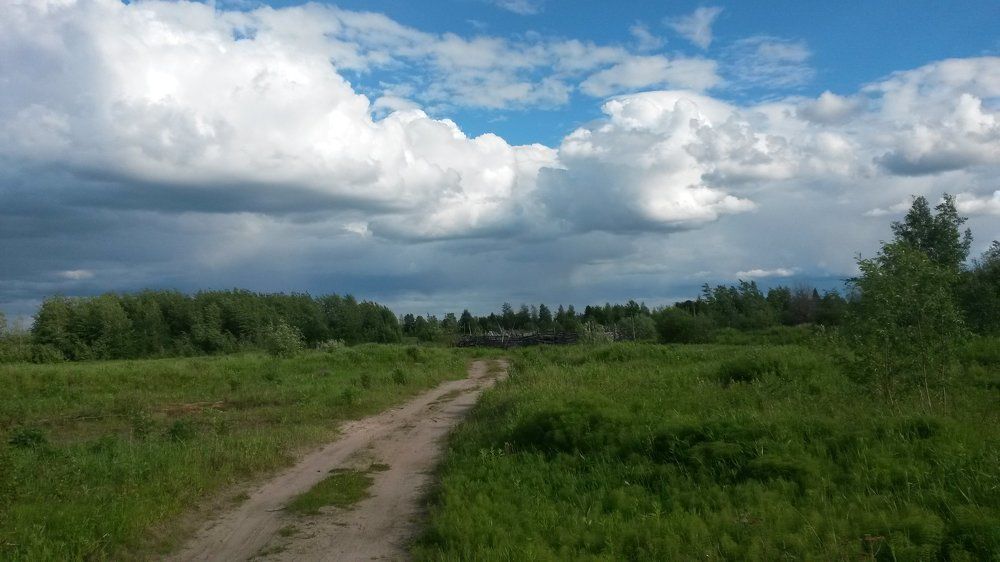 Тропа