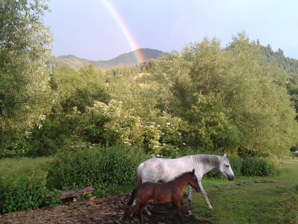 Photo #1010875