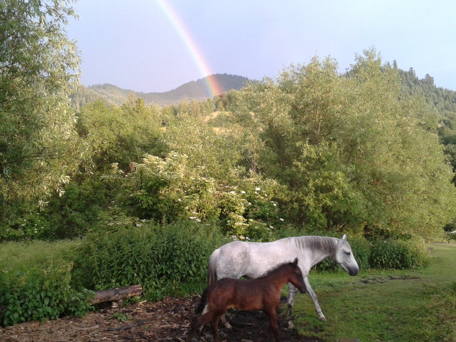 Photo #1010875