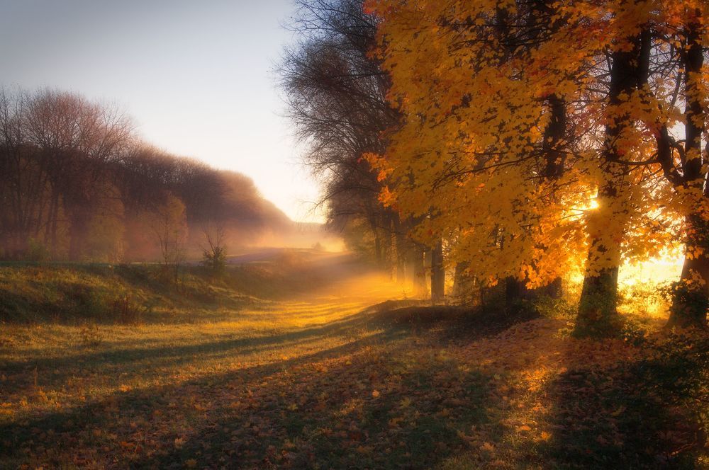 Photograph by Александр Маковский