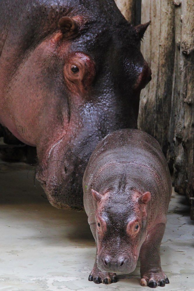 От роду всего лишь 3 недели...