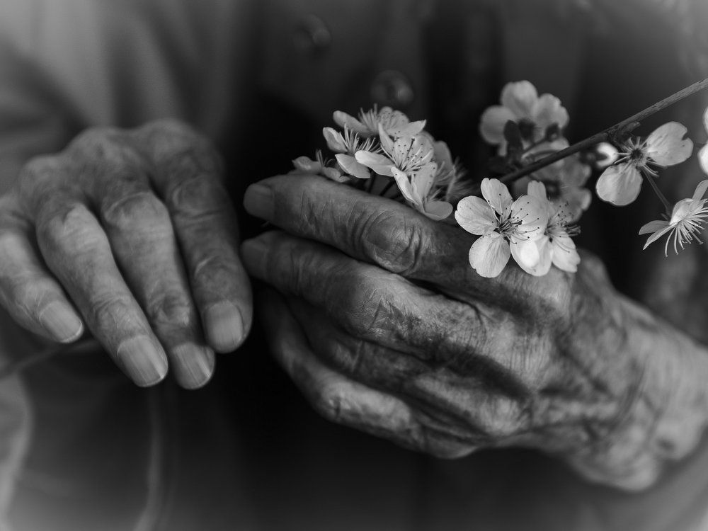 Photograph by Константин Водолазов