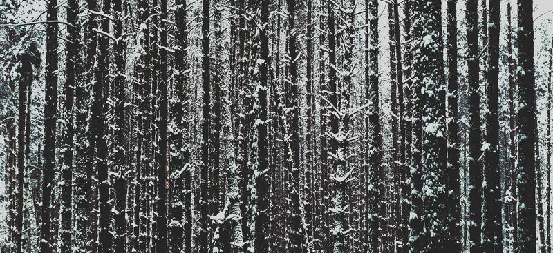 Sofia Bulgakova, Russia