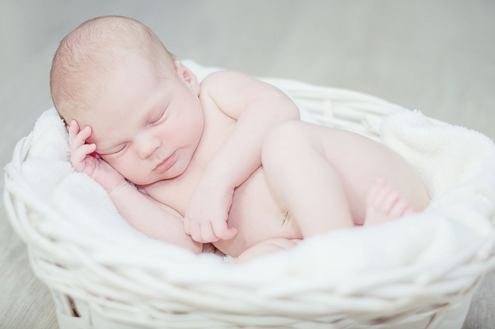 Комочек счастья