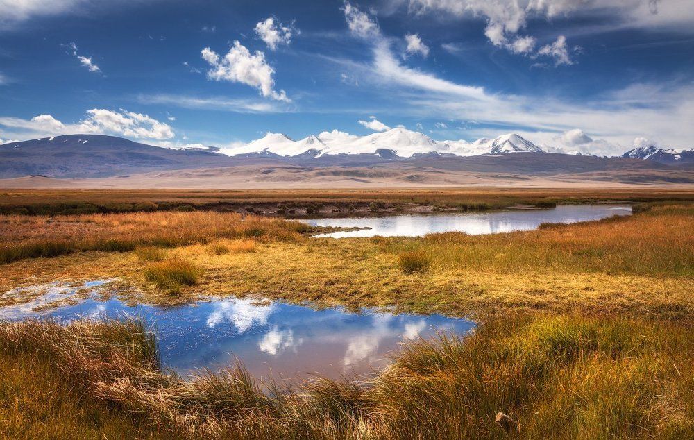 Алтайское лето на Укоке