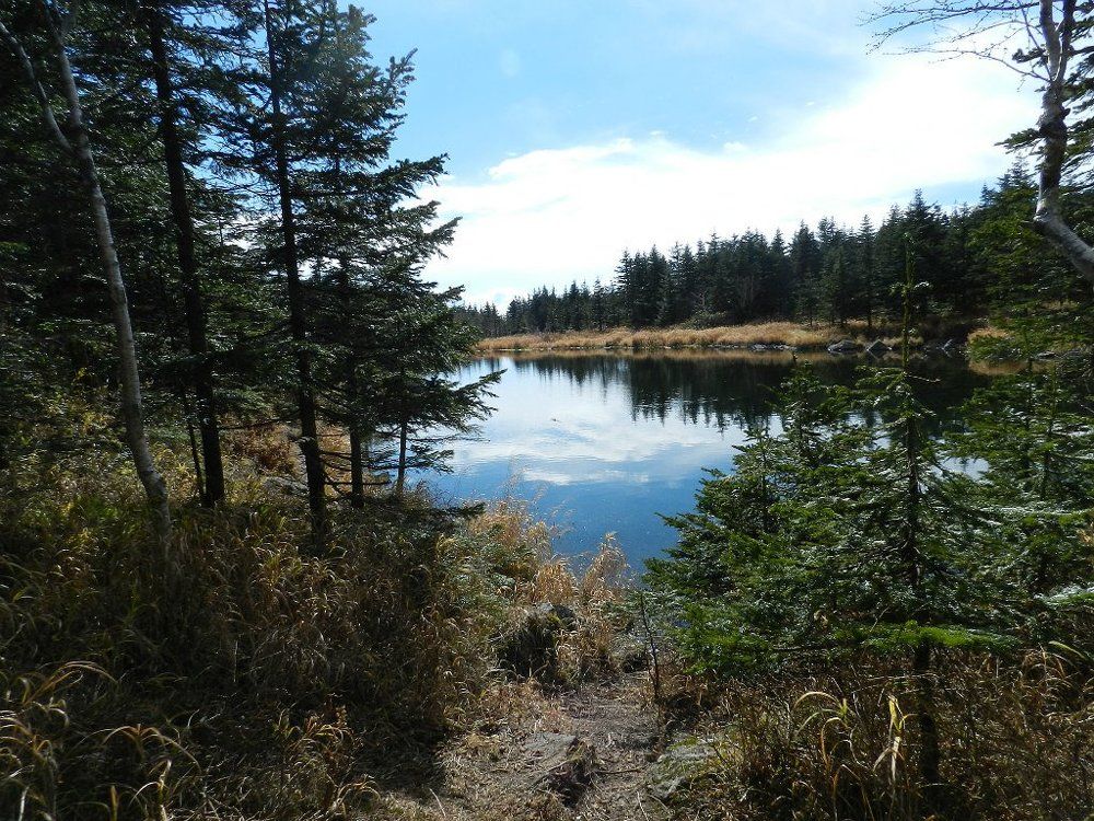 тайна древнего озера