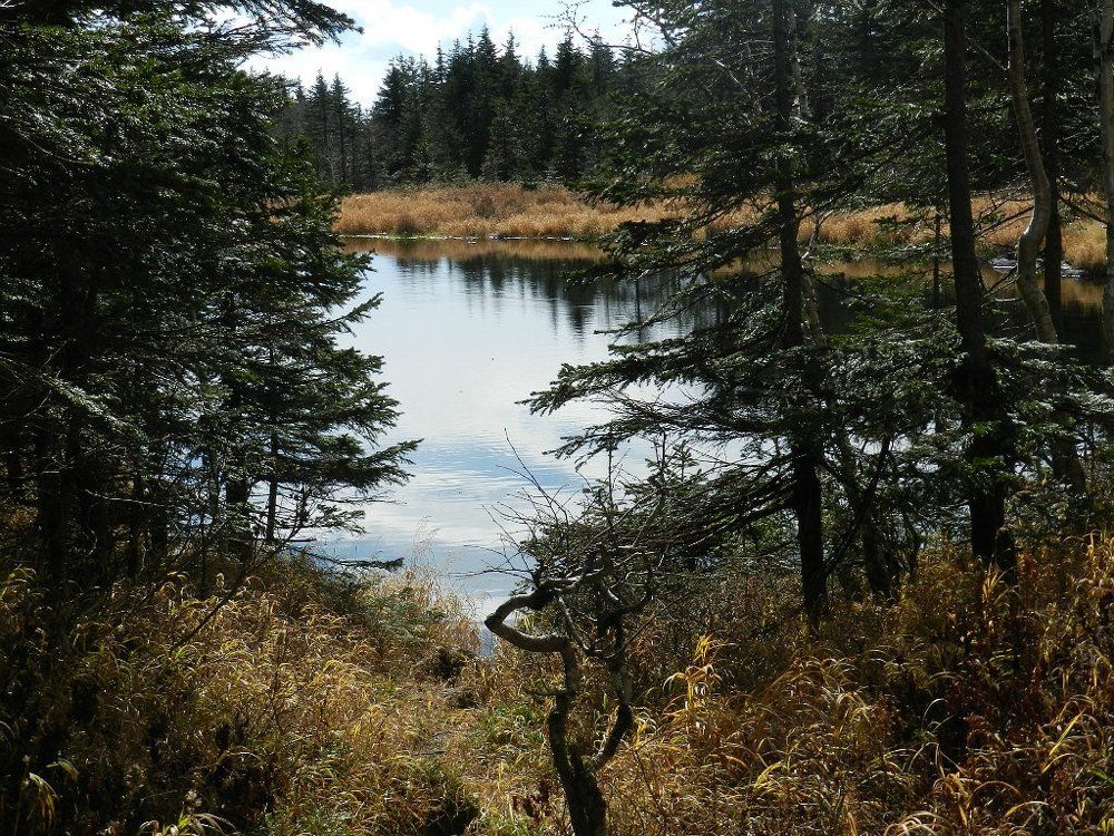 взгляд со стороны