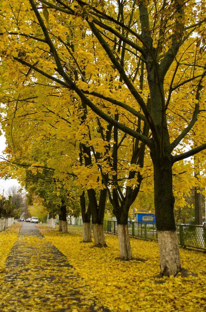 Осень