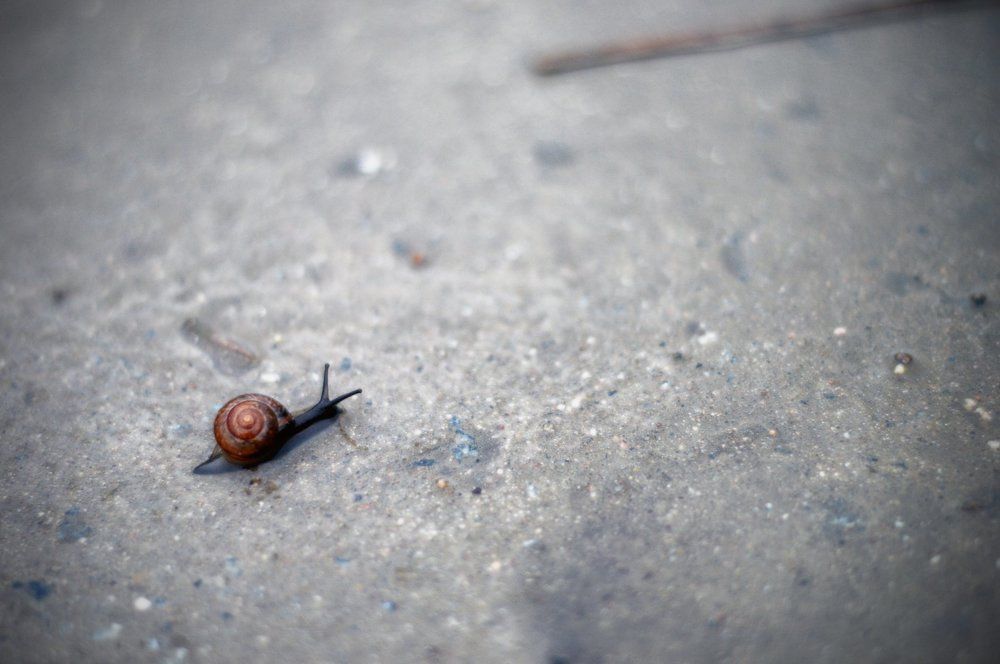 Я новенький фотограф