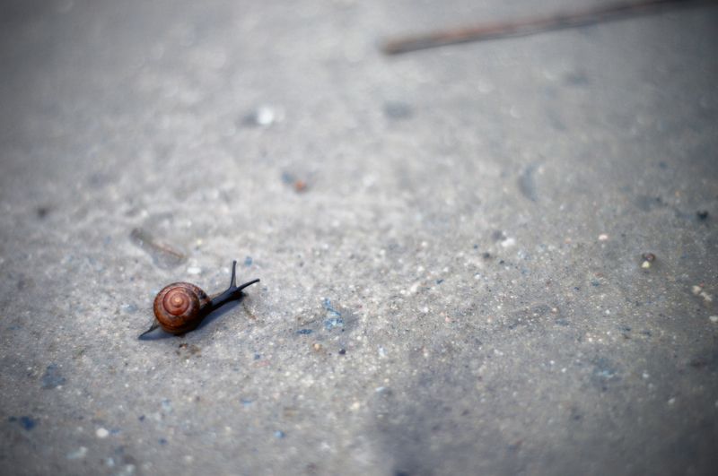 Alexey Haryushin, Russia