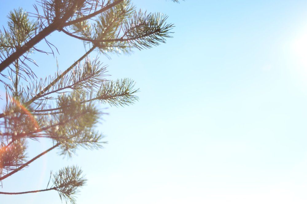 Я новенький фотограф