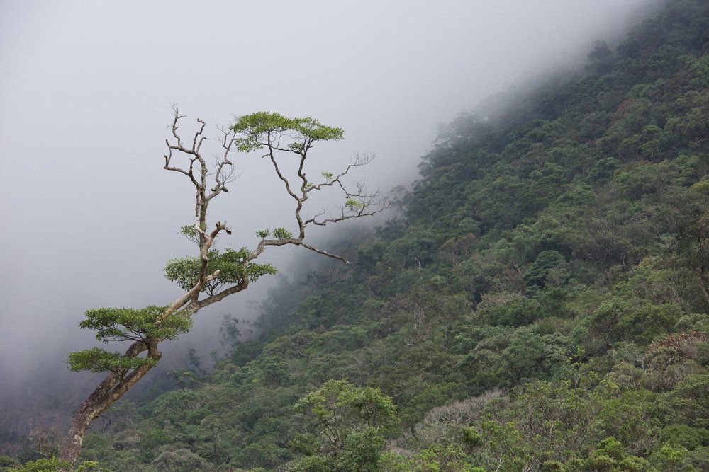 В горах Вьетнама