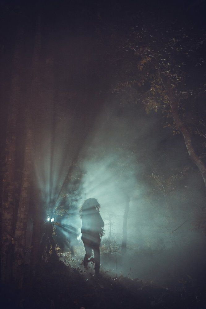 Погоня в Сумерках