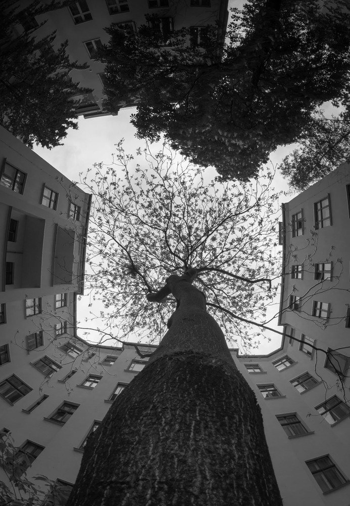 я стою одна , здесь полно людей , не могу понять ... как жить