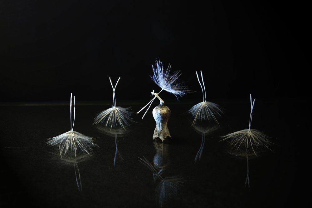 Танец пушинок