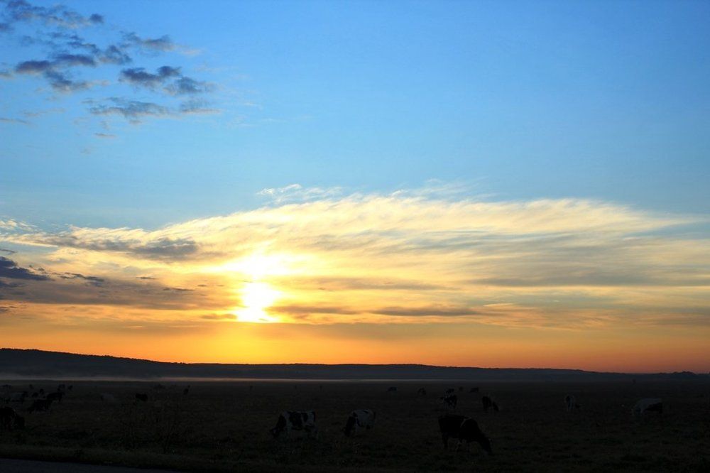 Photograph by Дмитрий