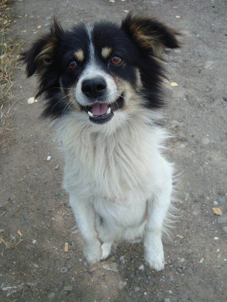 опустіть м'ясце по  нижче будь-ласка