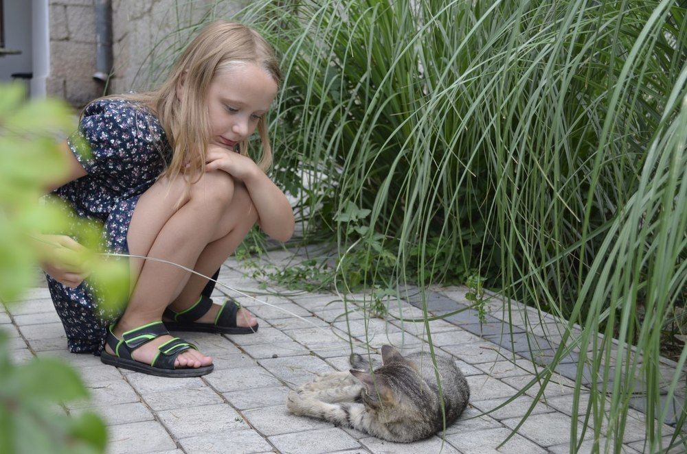 Photograph by ольга