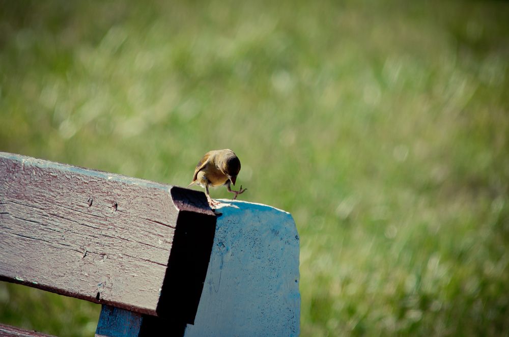 А ты баты шли солдаты