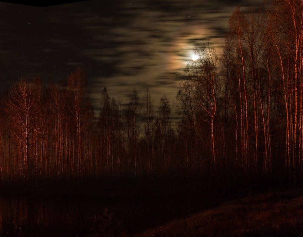 Осенняя соната..