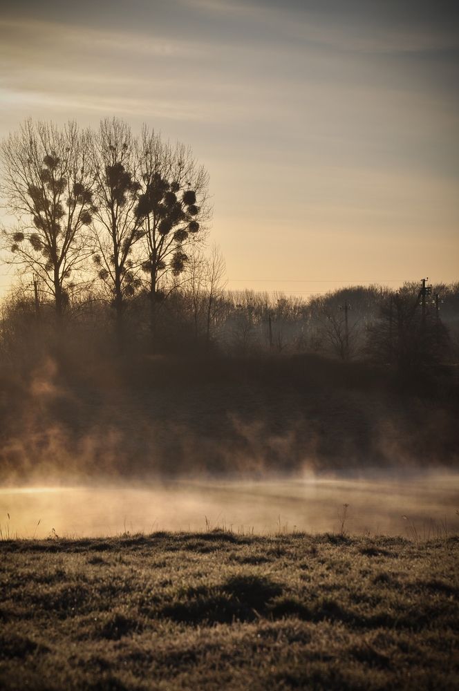 Озеро. Утро.