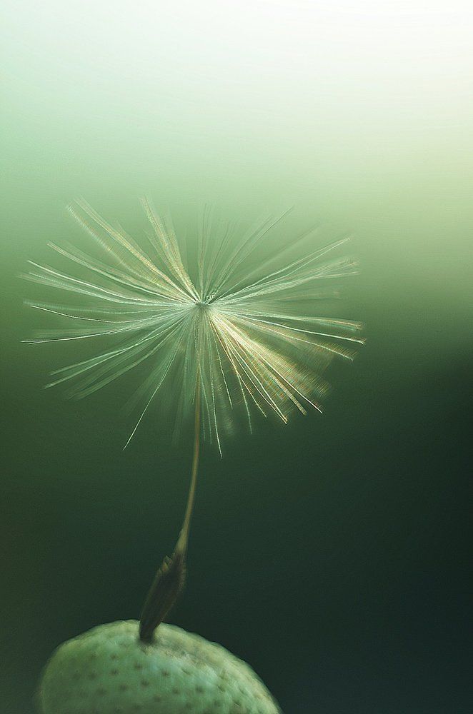 Ещё чуть-чуть и полетим...