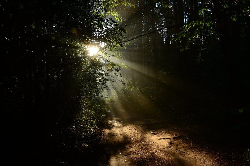 солнечное рассслабление