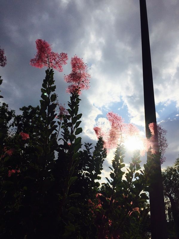 Фатима, Azerbaijan