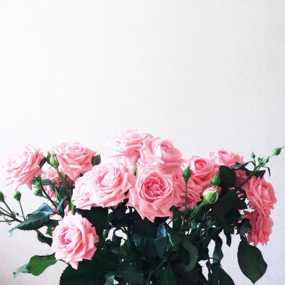 Photograph by Соня