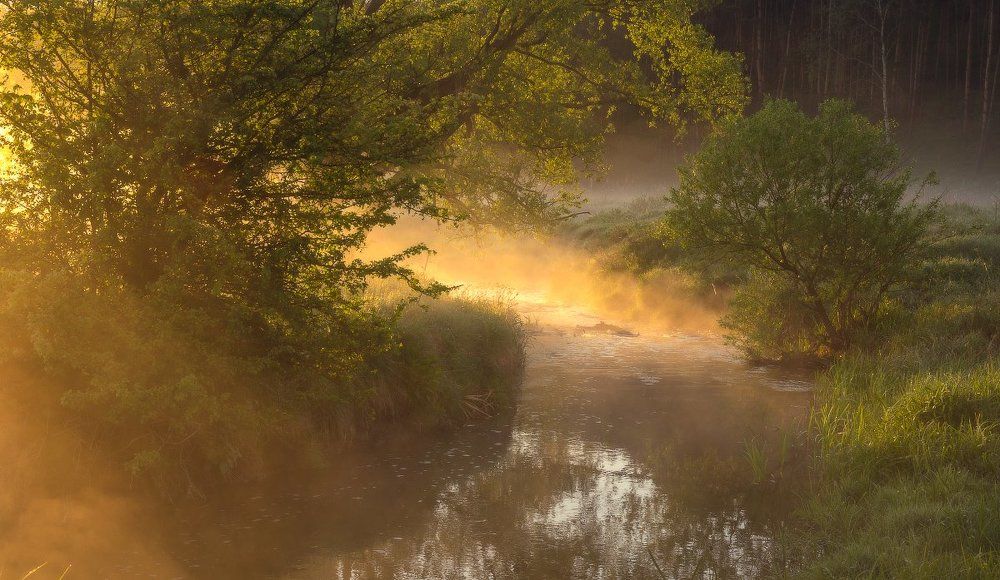 В утренних лучах...