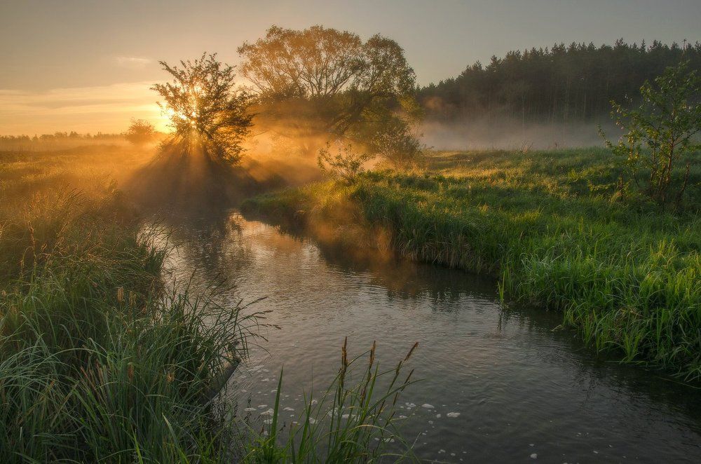 Про одно Майское утро...