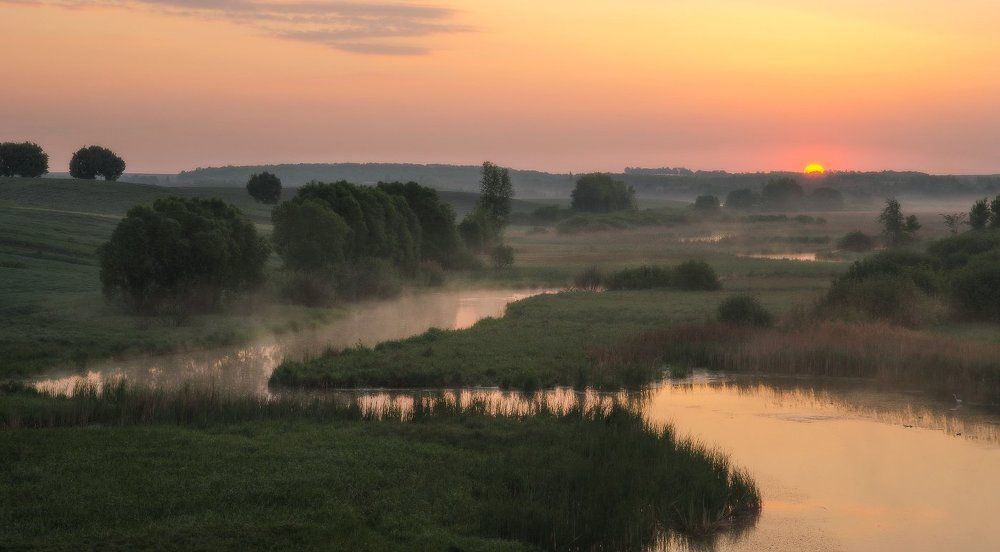 Робкое Солнышко